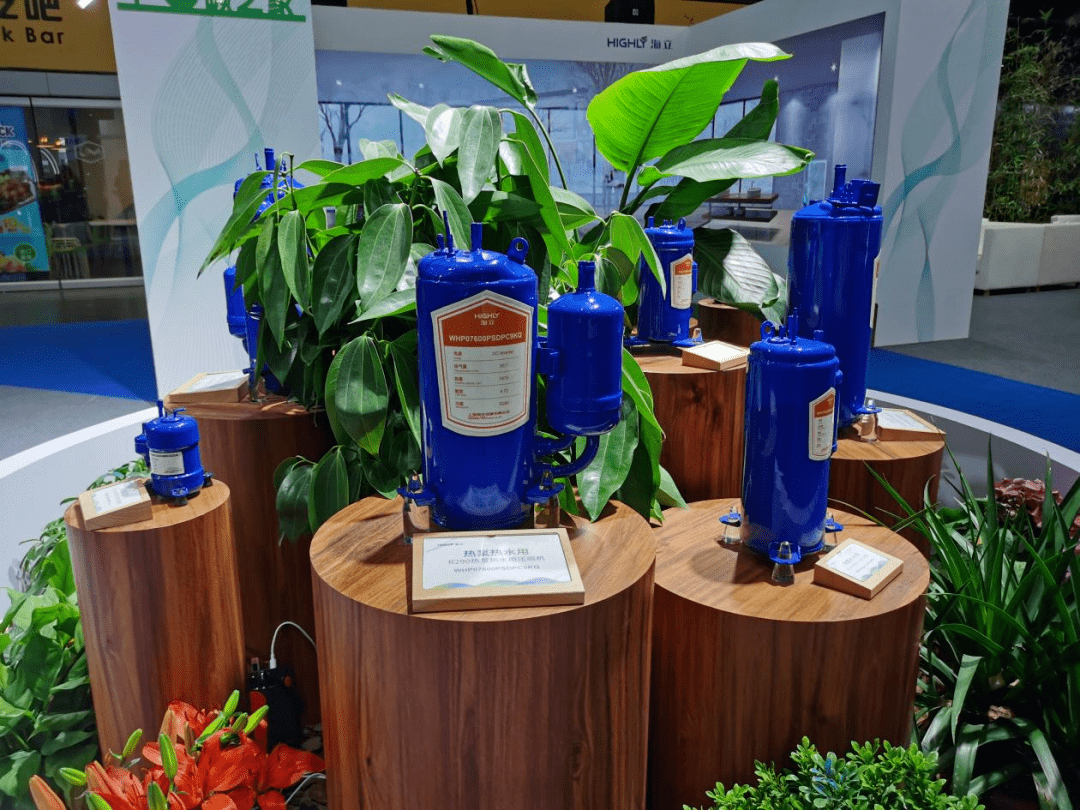 桌子上放著一盆植物
中度可信度描述已自動生成